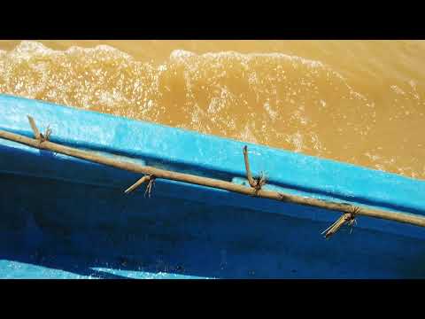 11 KV  LINE SURVEY AP.E.P.D.C.L KUNAVARAM 23/8/2020