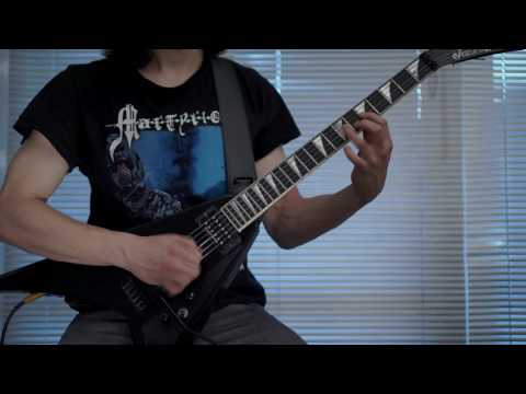 MARTYRION - Breeding The Edge Of Doom [Guitar Playthrough]