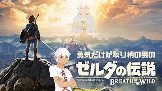 【#Vtuber】勇気だけが取り柄の男のゼルダの伝説BotW初見プレイ ＃１１