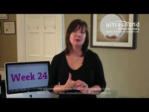 24 Weeks Pregnant - Your 24th Week Of Pregnancy