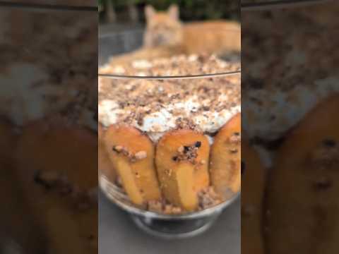 Easy eggless Tiramisu #tiramisu @gluten-mania #easyrecipe