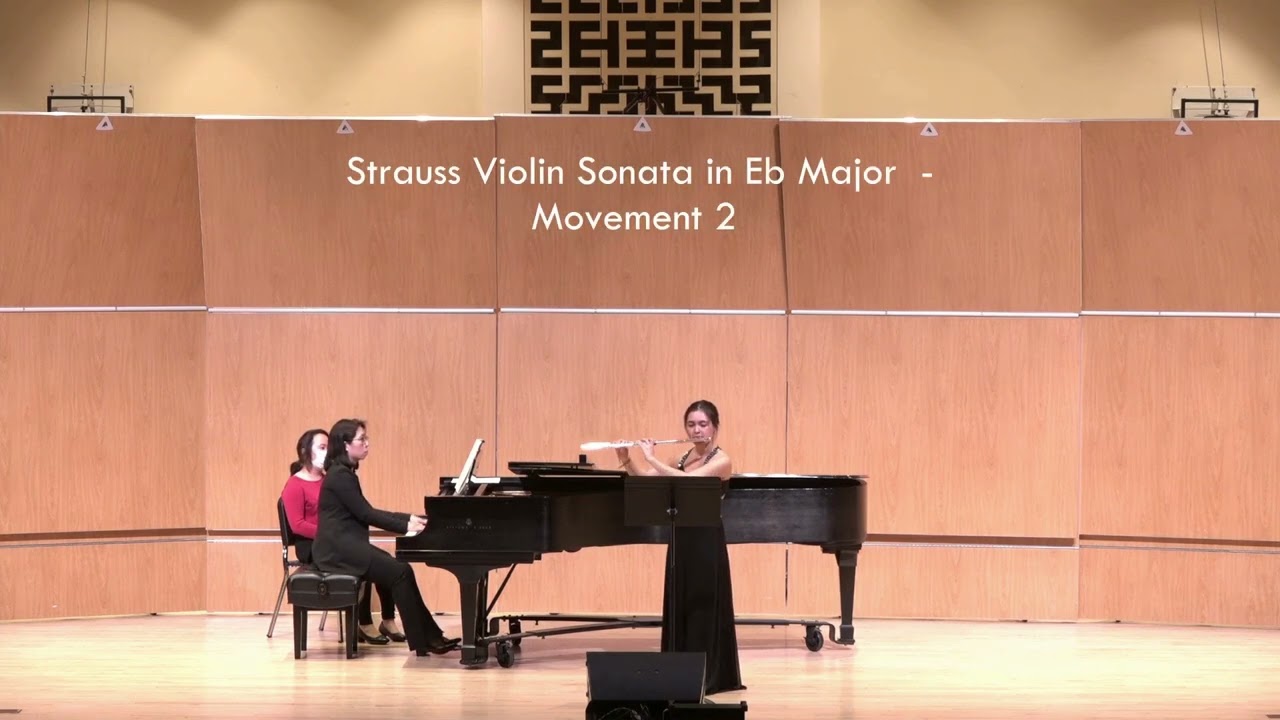 Promotional video thumbnail 2 for Andrea Gutierrez, Flutist and Composer