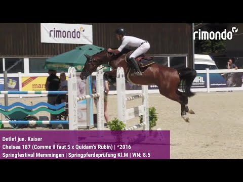 BuCha-Quali Springfestival Memmingen – Detlef jun. Kaiser & Chelsea 187