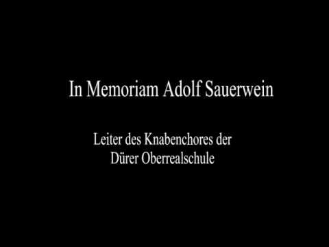 In Memoriam Adolf Sauerwein