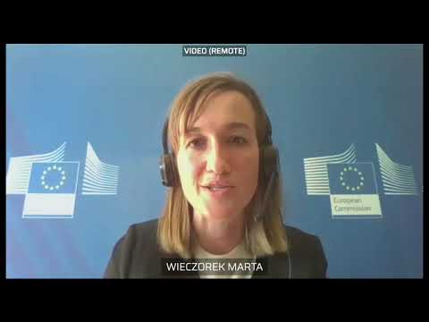 Recovery and Resilience Task Force receives National plans of Recovery and Resilience Facility