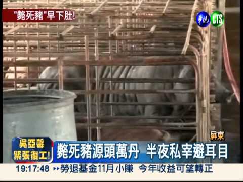 斃死豬流入台南 查扣820公斤