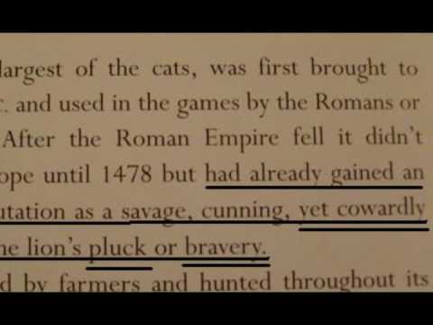 Lion & Tiger Roman Times