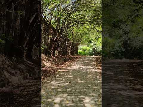 Ladeira de São Bento, Abreu e lima -PE