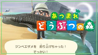 【あつまれどうぶつの森】 だいぶ経った気がする