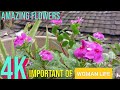 Woman Life Changing Flowering Plants Article Flowers Information Facts National Geographic