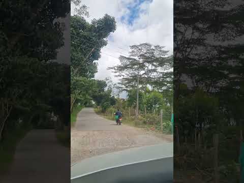 #LaArgentina #huila  #shorts