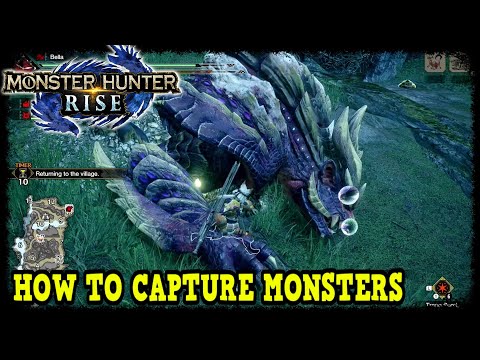 Hunting Apex Diablos Breakdown  Monster Hunter Rise Evasion Series 