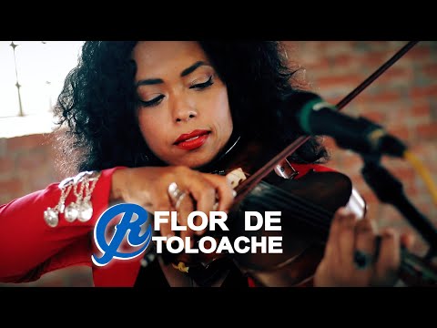 Flor de Toloache - Besos de Mezcal (Sound Skryer Sessions) LIVE