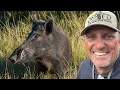 Wild Hog Deer And Ducks Catch Clean Cook Open Fire Cooking