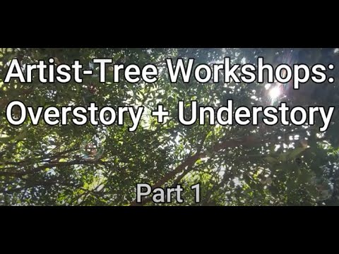 Artist-Tree Workshop: OverStory + UnderStory