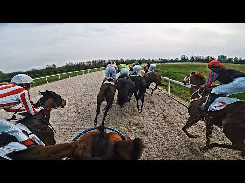 2. Place | Hendicap 2 | Tie Em Up Tel (IRE) | Kincsem park, Budapest | GoPro