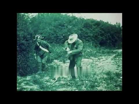 Vot’permis ? Viens l’chercher ! (1905) The Gun License (Pathé)