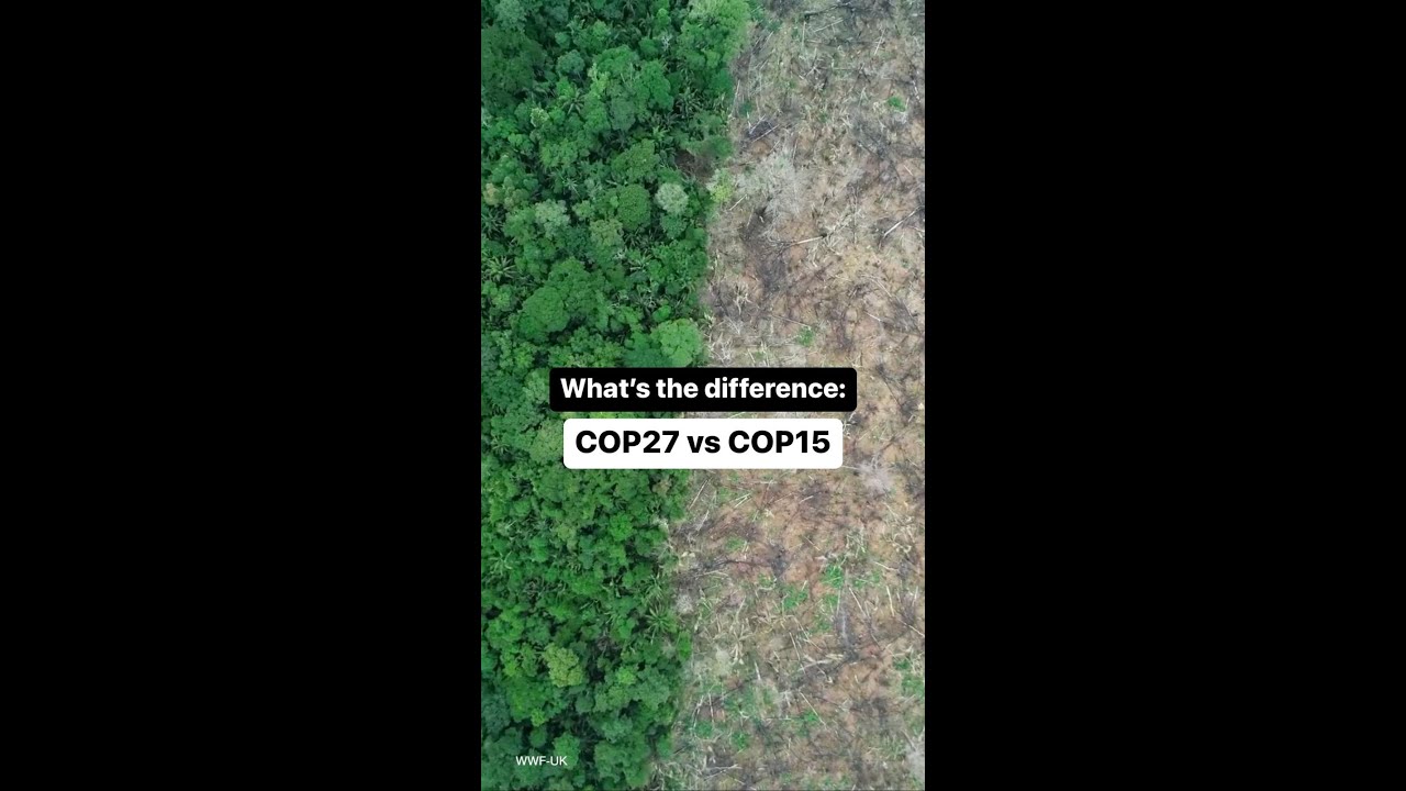 What is the difference between COP27 and COP15? #WWF #COP15 #Biodiversity #NaturePositive