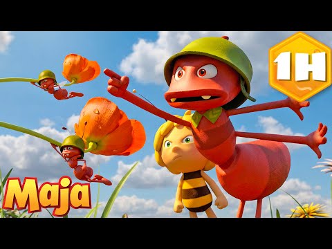Ameisen-Patrouille macht eine Pause 🐜 🐝  Biene Maja | Zeichentrick für Kinder