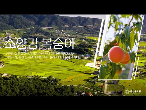 과수원-소양강복숭아