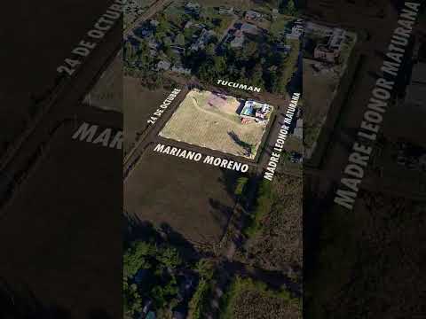 Loteo Gary Player (Qt 51) Suipacha (PBA)