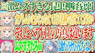 普通の神経衰弱よりも圧倒的に難しい「昆虫神経衰弱」で他の3人の5期生（ぽらぼ）に勝とうとするねねちｗ【ホロライブ切り抜き/桃鈴ねね/尾丸ポルカ/獅白ぼたん/雪花ラミィ】