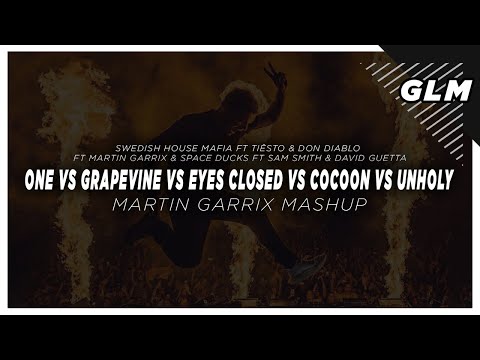 SHM Ft Martin Garrix & David Guetta - One Vs Grapevine Vs Cocoon Vs Unholy ( Martin Garrix Mashup )