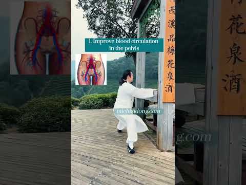 Improve blood circulation in the pelvis