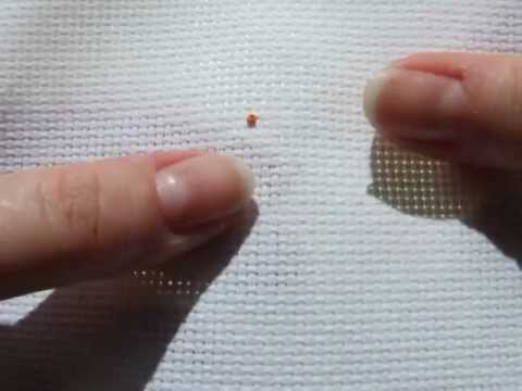 How to Make a French Knot