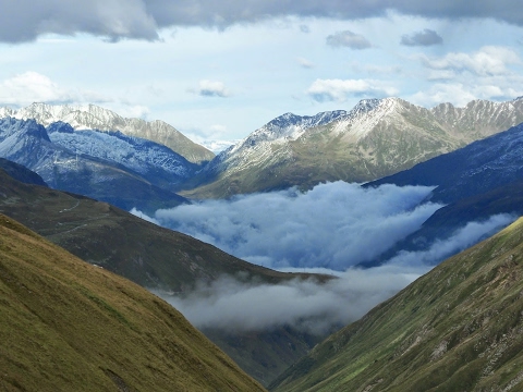 AO VIVO ReveillOz #6 - 2019/20 - Live BSTV