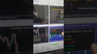 Como ganhar dinheiro usando nossos robôs de forex