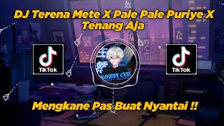 Download lagu DJ Terena Mete X Pale Pale Puriye X Tenang Aja, Viral TikTok!! By Sahrul Ckn mp3