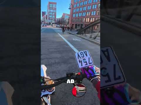 Kennzeichen verloren