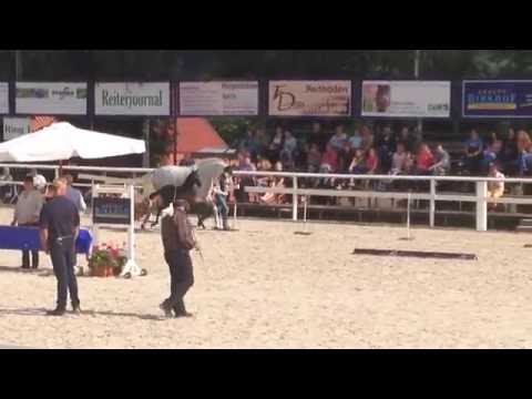 Zauberlehrling, geb. 06.06.2014