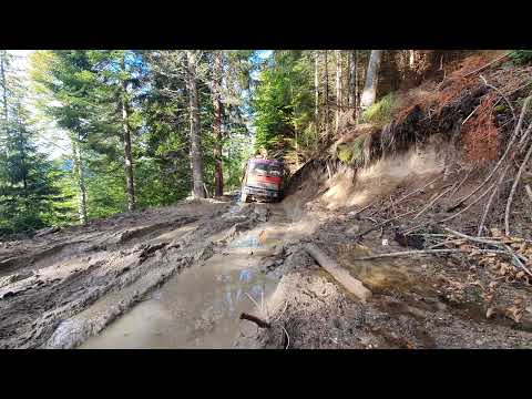 Iveco Magirus 4x4 17-340 in the mud holztransporte