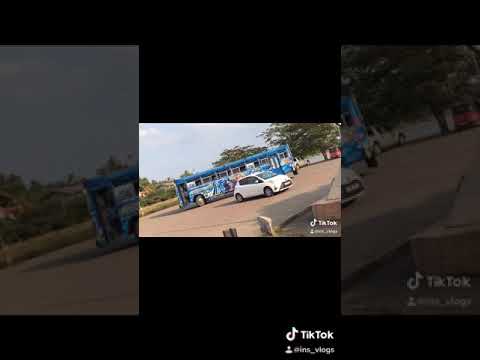 Shrungaari new updates