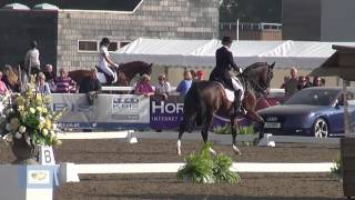 preview picture of video 'Lara Griffith: LeMieux National Dressage Championship 2014'