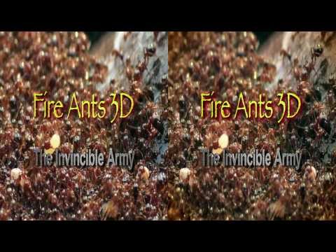Trailer-Vorschau: Fire Ants 3D - Die unbesiegbare Armee