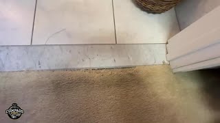 Carpet Transition Repair