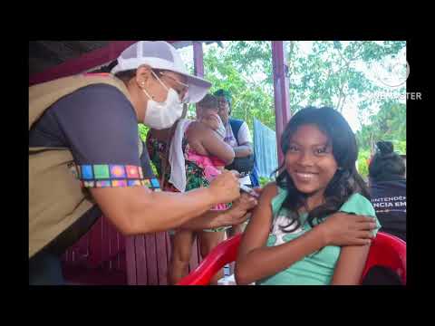 A visit at ipixuna in Amazonas state brazil 