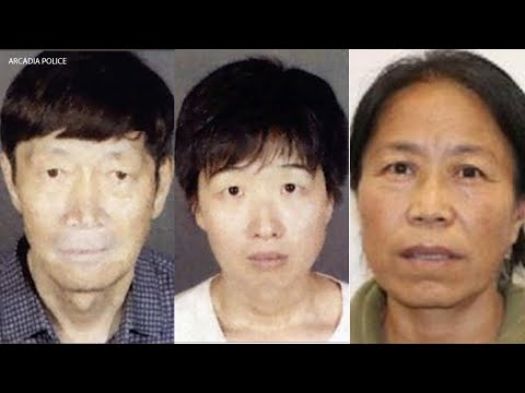 21 children - all with surrogate mothers - taken from Arcadia couple