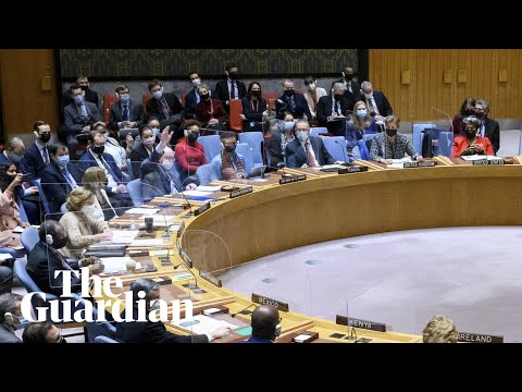United Nations security council discusses build-up of Russian forces on Ukraine border – watch live