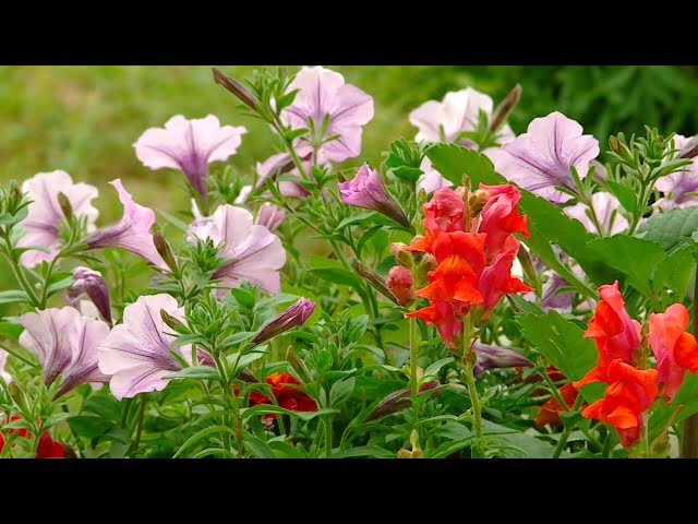 Где находится самый уютный двор?