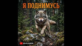 Суки, Не Ждите