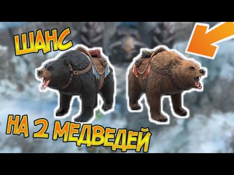 Потратил всё что бы получить медведя ... Frostborn: Action RPG