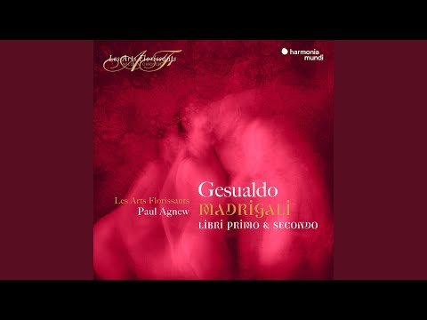 Non è questa la mano: I. Non è questa la mano