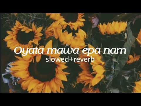 Oyata mawa epa nam [slowed+reverb]
