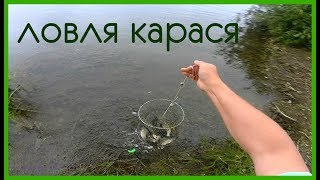 Лов карася в августе на поплавок
