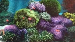 Midnight Cowboy - Instrumental