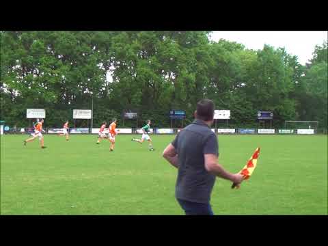 Bavel O14 - Oranje Wit O14